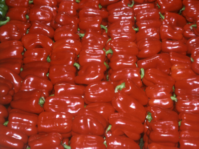 red capsicum